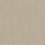 Papyrus P055