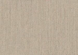 Papyrus P055