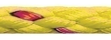 Waterskilijn geel Robline